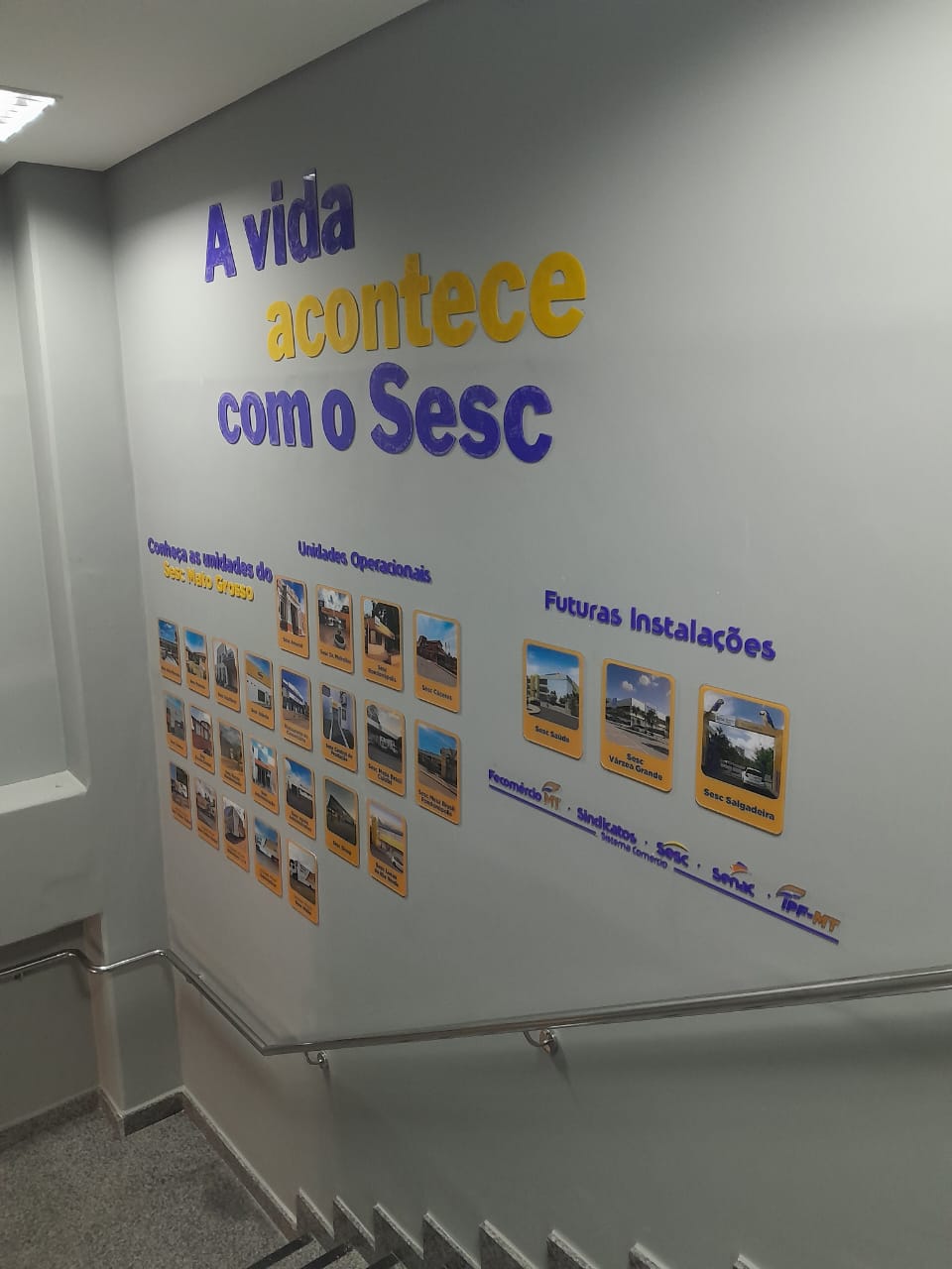 WhatsApp Image 2025-10-15 at 15.15.04.jpeg